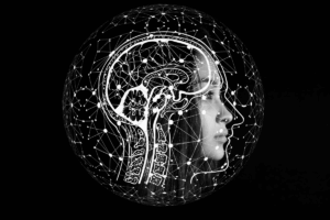 Bildungsangebot 2 AlphaBrain Filter